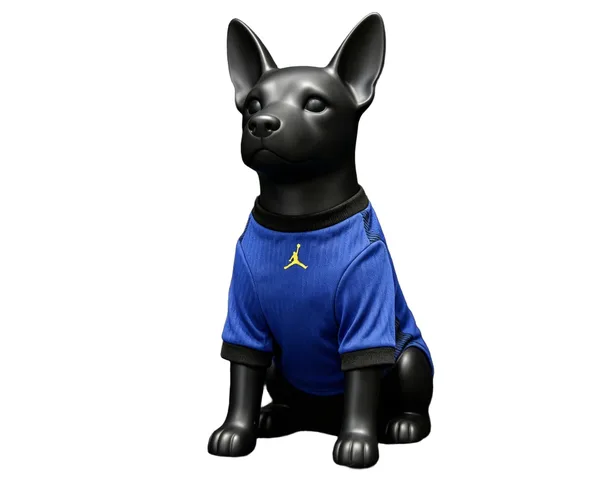 Brésil Maillot Chien Extérieur 26/27