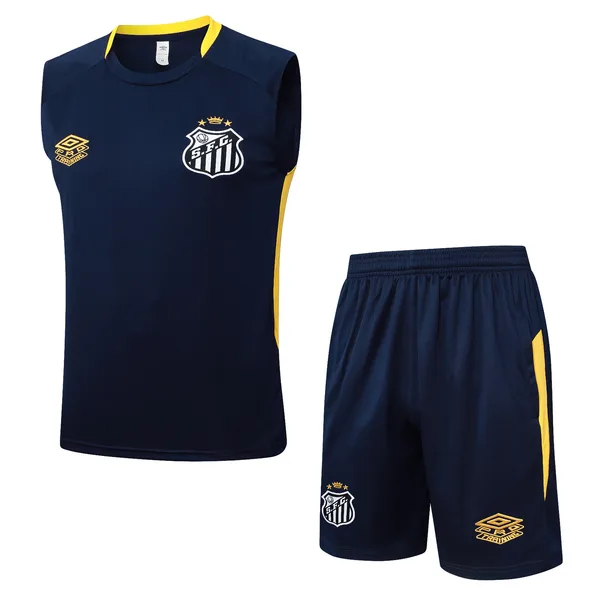 Santos Ensemble Training 25/26