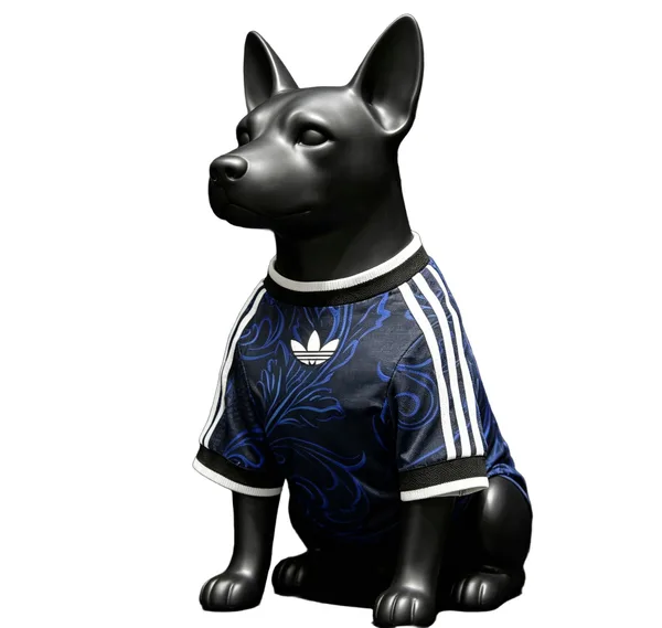 Argentine Maillot Chien Extérieur 26/27
