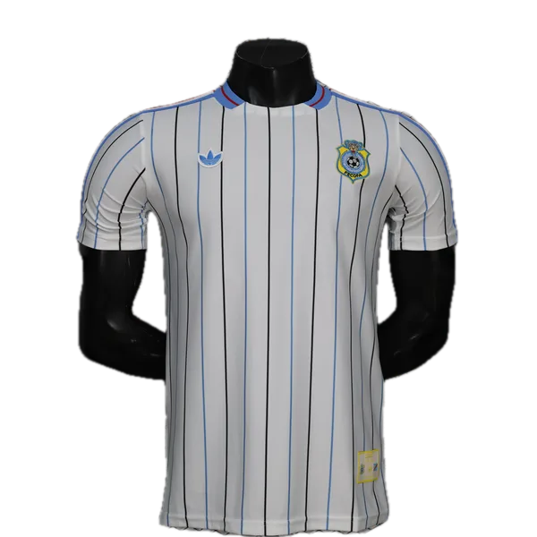 République Démocratique du Congo Maillot Terrace Icons 26/27 – Version Player
