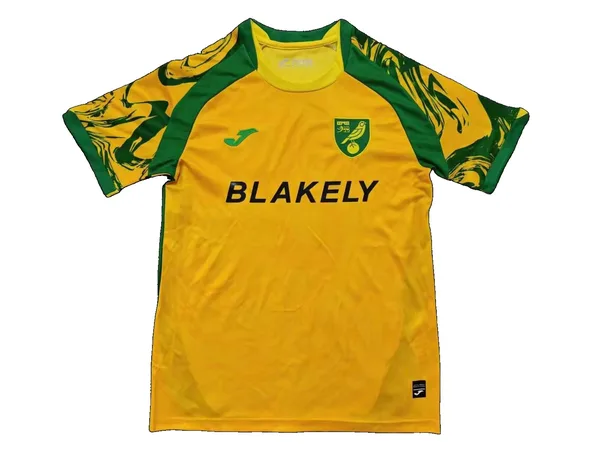 Norwich City Maillot Domicile 26/27