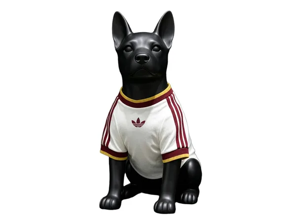 Espagne Maillot Chien Extérieur 26/27